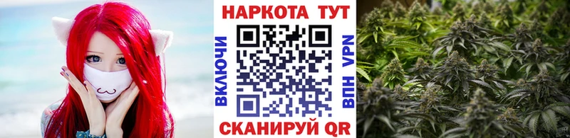 COCAIN Новосибирск