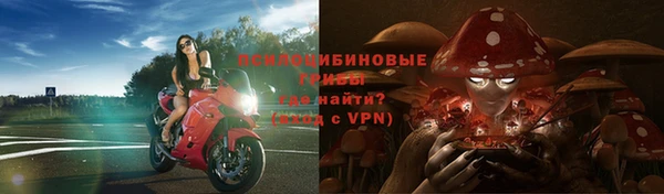 гидропоника Богданович