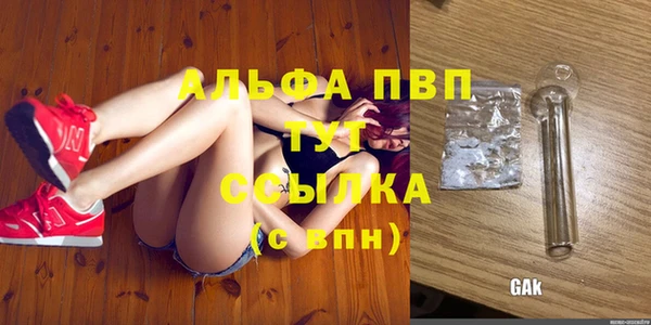 гидропоника Богданович
