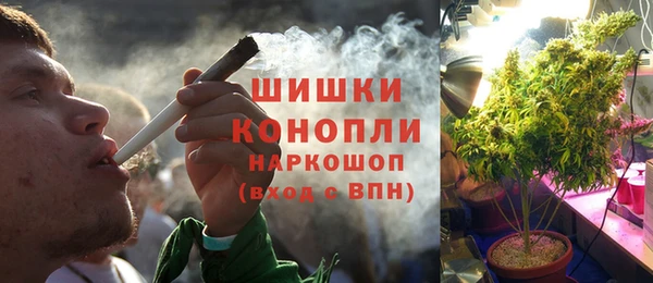гидропоника Богданович