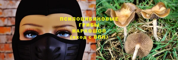 соль ск Богородицк