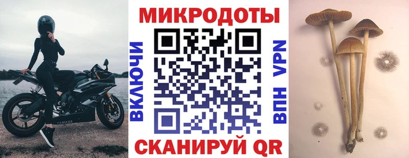 Галлюциногенные грибы MAGIC MUSHROOMS Новосибирск