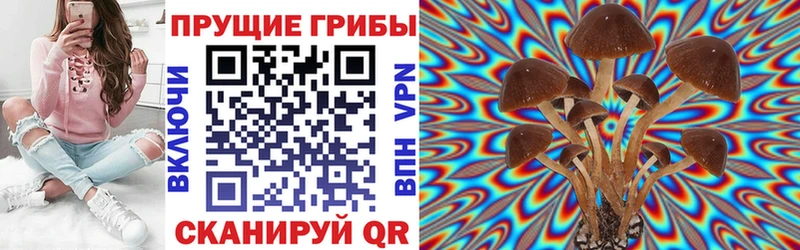 купить  сайты  Новосибирск  blacksprut как зайти  Псилоцибиновые грибы ЛСД 